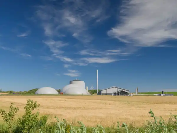 View of countryside in North Jutland with biogas plant, Denmark. Cornfield with agricultural factory in the background in the countryside